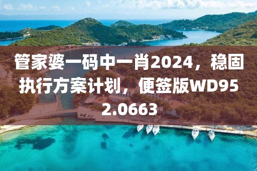 管家婆一碼中一肖2024，穩(wěn)固執(zhí)行方案計(jì)劃，便簽版WD952.0663