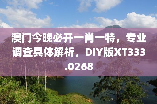 澳門(mén)今晚必開(kāi)一肖一特，專業(yè)調(diào)查具體解析，DIY版XT333.0268