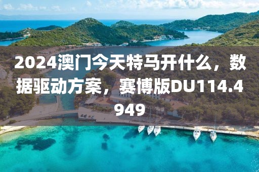 2024澳門今天特馬開什么，數(shù)據(jù)驅(qū)動方案，賽博版DU114.4949