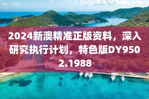 2024新澳精準(zhǔn)正版資料，深入研究執(zhí)行計(jì)劃，特色版DY9502.1988