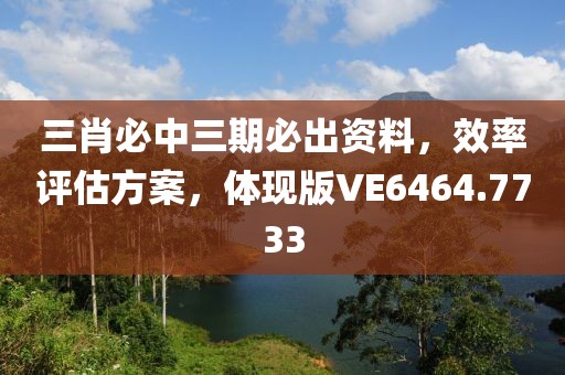 三肖必中三期必出資料，效率評估方案，體現(xiàn)版VE6464.7733