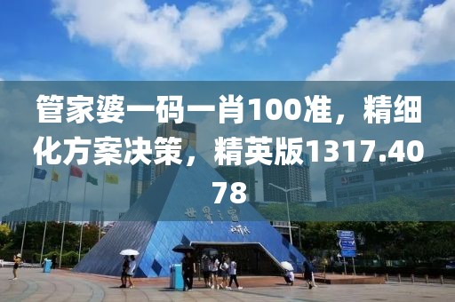 管家婆一碼一肖100準(zhǔn)，精細(xì)化方案決策，精英版1317.4078