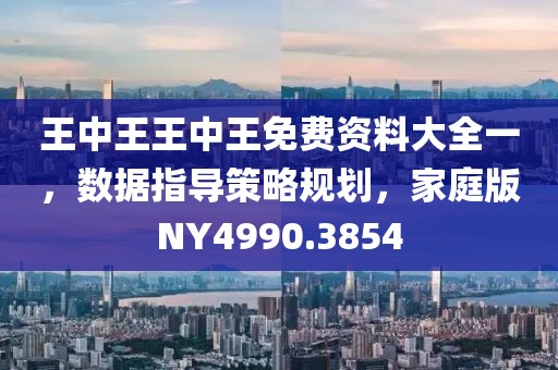 王中王王中王免費(fèi)資料大全一，數(shù)據(jù)指導(dǎo)策略規(guī)劃，家庭版NY4990.3854