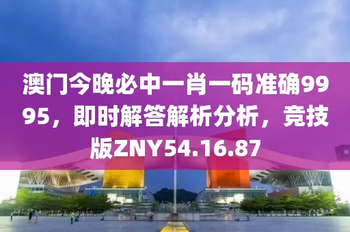 澳門今晚必中一肖一碼準(zhǔn)確9995，即時(shí)解答解析分析，競技版ZNY54.16.87