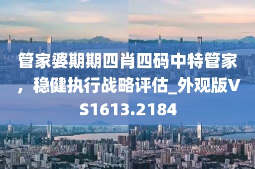 管家婆期期四肖四碼中特管家，穩(wěn)健執(zhí)行戰(zhàn)略評估_外觀版VS1613.2184