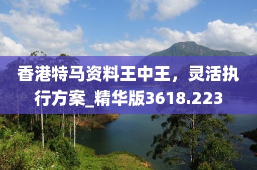 香港特馬資料王中王，靈活執(zhí)行方案_精華版3618.223