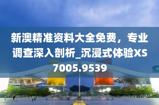 新澳精準(zhǔn)資料大全免費(fèi)，專(zhuān)業(yè)調(diào)查深入剖析_沉浸式體驗(yàn)XS7005.9539