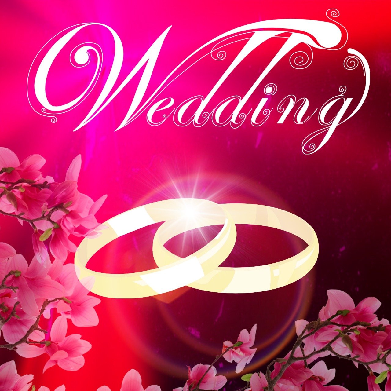 陜西渭南最新結(jié)婚視頻，甜蜜愛(ài)情的美好瞬間見(jiàn)證