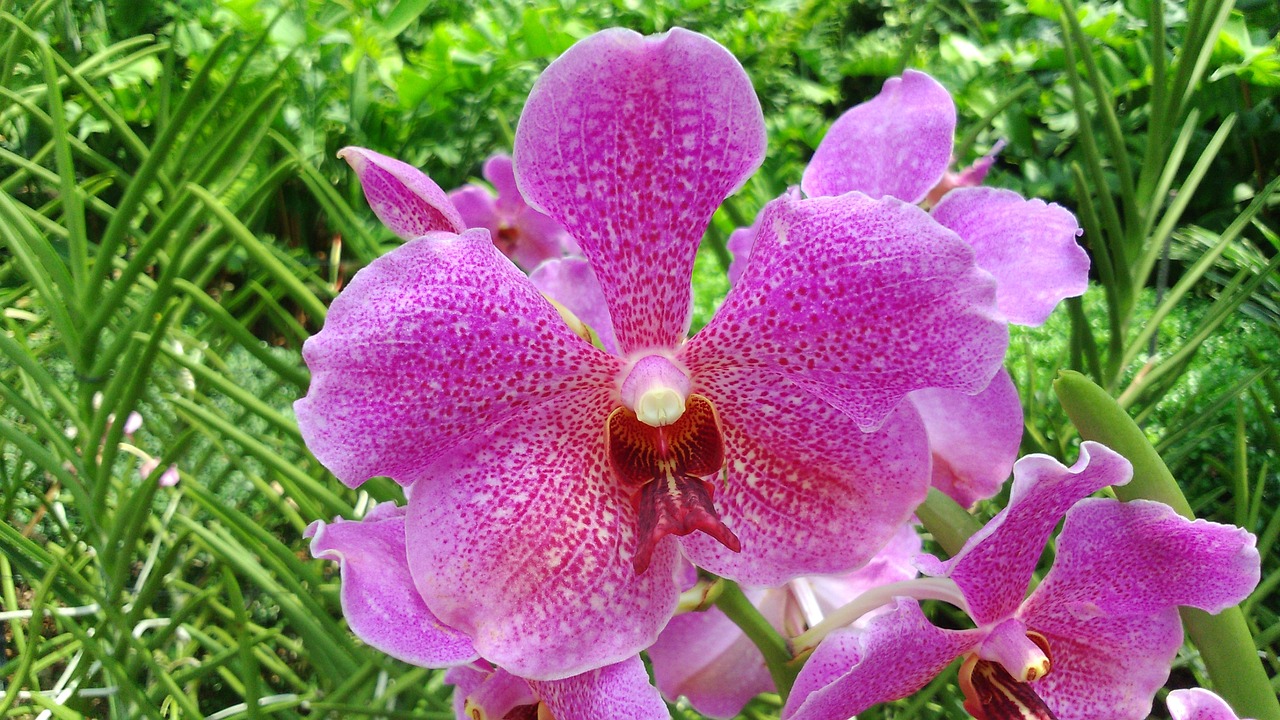 延安翠微花園最新動(dòng)態(tài)，綻放中的綠色明珠