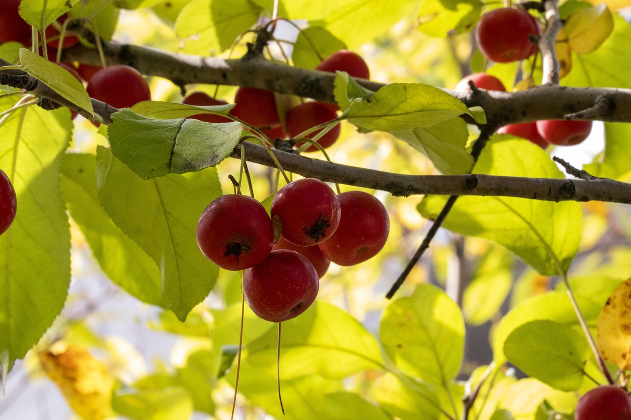 竹溪最新人事任免動(dòng)態(tài)更新