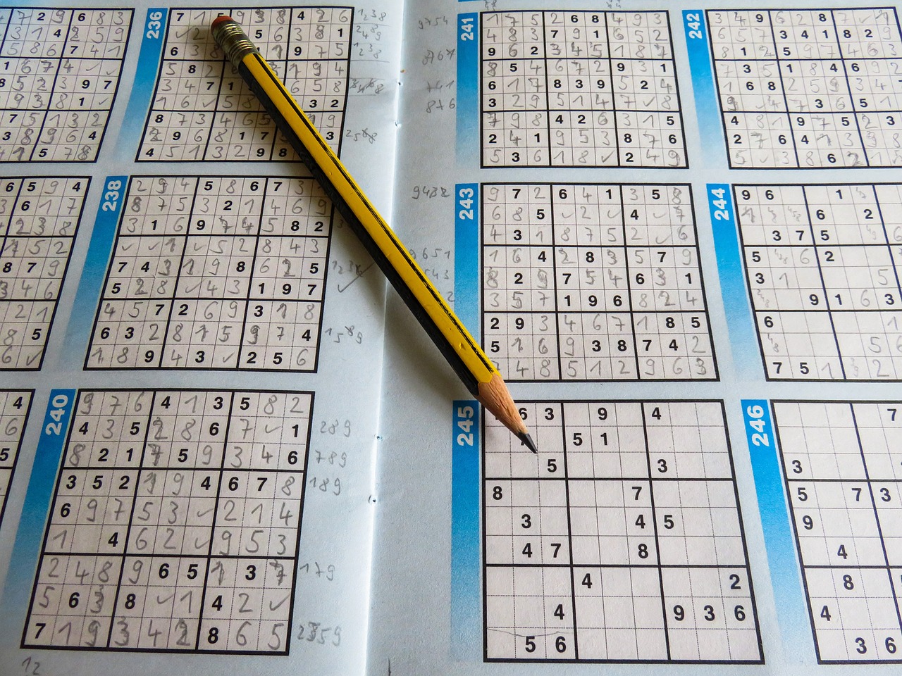 新澳天天開獎資料大全下載安裝，高效計劃實施，運(yùn)動版827.758