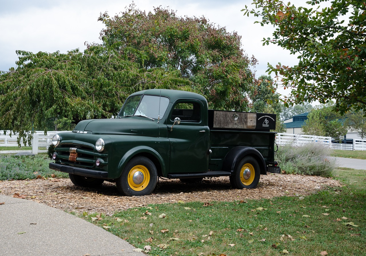 2016年黃巖區(qū)最新人事任免動(dòng)態(tài)公布