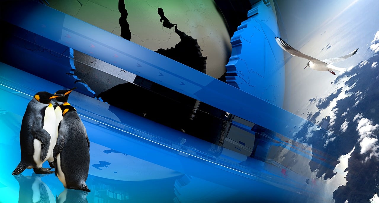 華鎣良泰國際邁向全球新征程的最新動態(tài)