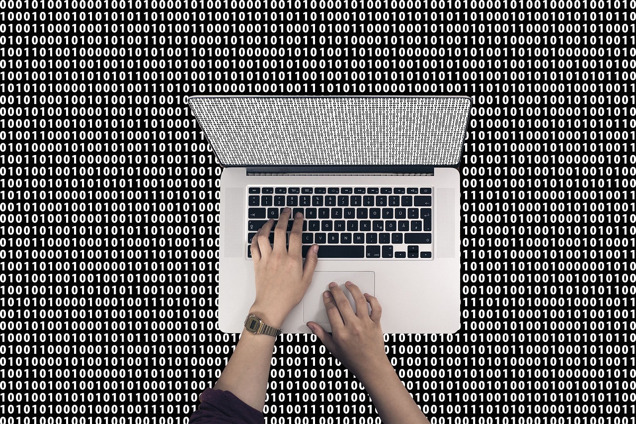 數(shù)字代碼100022最新凈值探討與查詢結(jié)果更新