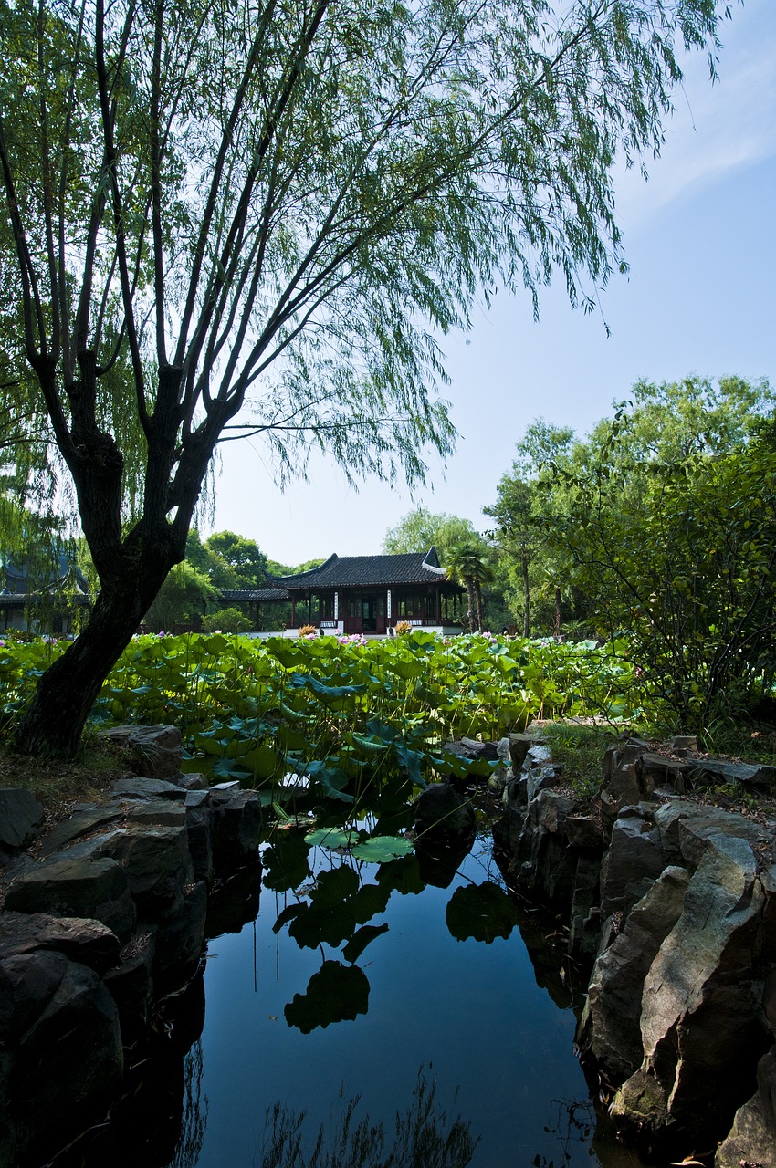 蘇州姑蘇區(qū)最新規(guī)劃，塑造歷史與未來的和諧共生之城