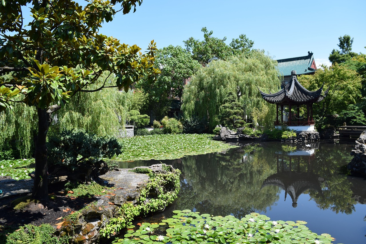 白沙公園最新動(dòng)態(tài)，城市綠洲煥發(fā)新生